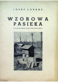 Wzorowa pasieka. Podręcznik dla pszczelarzy, 1938 r.
