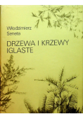 Drzewa i krzewy iglaste