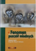 Fenomen pszczół miodnych