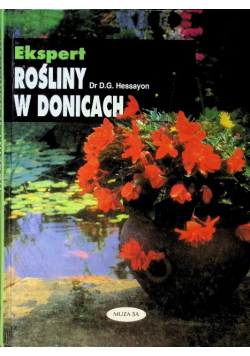 Rośliny w donicach