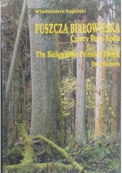 Puszcza Białowieska Cztery pory roku