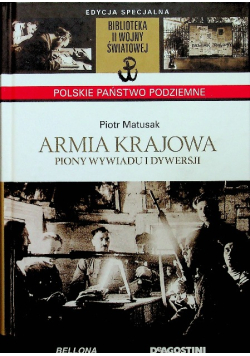 Armia krajowa piony wywiadu i dywersji