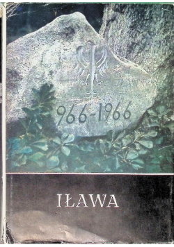 Iława z dziejow miasta i okolic