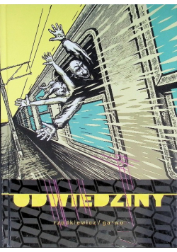 Odwiedziny
