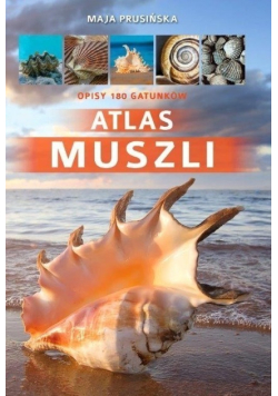 Atlas muszli