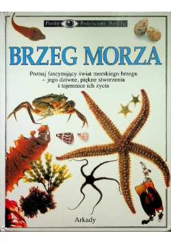 Brzeg morza