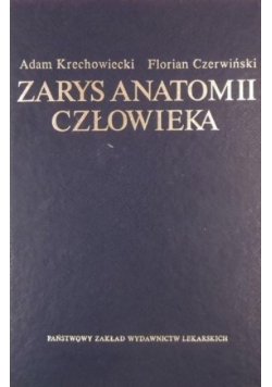 Zarys anatomii człowieka
