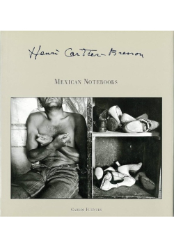 Mexican notebooks