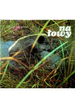 Na łowy