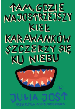Tam, gdzie najostrzejszy kieł Karawanków szczerzy się ku niebu