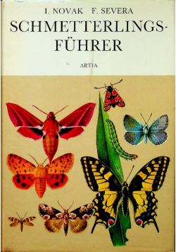 Schmetterlings fuhrer