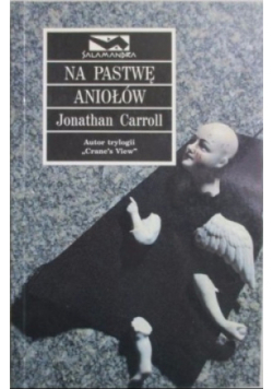 Na pastwę aniołów