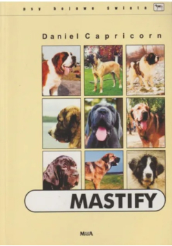 Mastify
