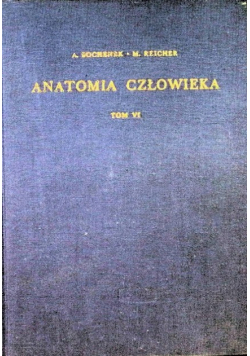 Anatomia człowieka Tom VI