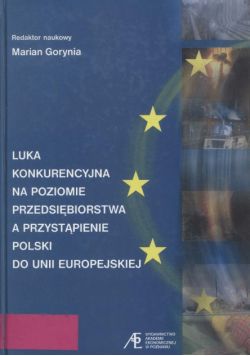 Luka konkurencyjna na poziomie przedsiębiorstwa