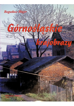 Górnośląskie krajobrazy