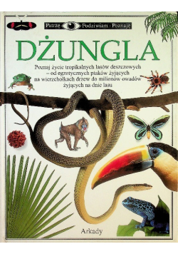 Patrzę, podziwiam, poznaję. Dżungla