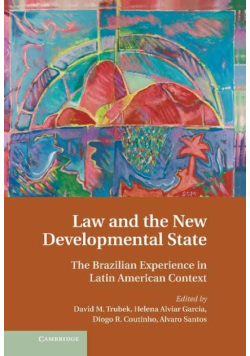 Law and the New Developmental State