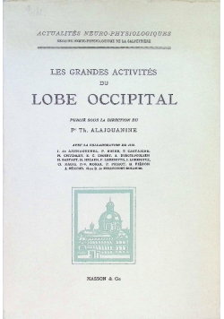 Les Grandes Activites du Lobe Occipital