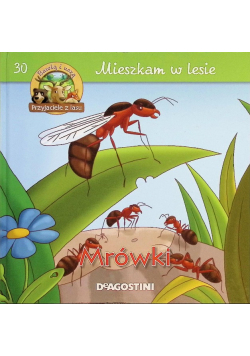Mieszkam w lesie  Mrówki
