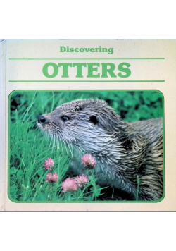 Discovering Otters
