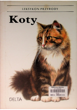 Koty Leksykon przyrody