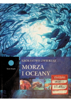 Morza i oceany