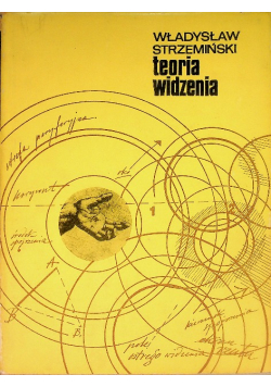 Teoria widzenia
