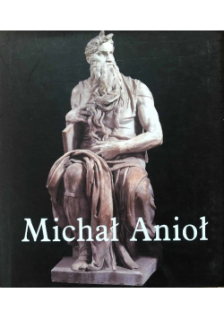 Michał Anioł