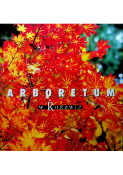 Aboretum w Rogowie