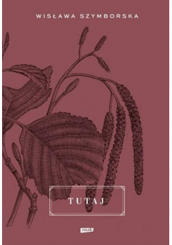 Tutaj