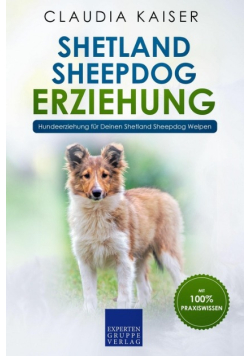 Shetland Sheepdog Erziehung