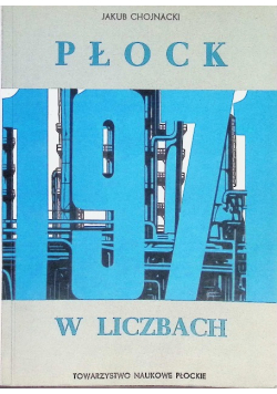 Płock w liczbach