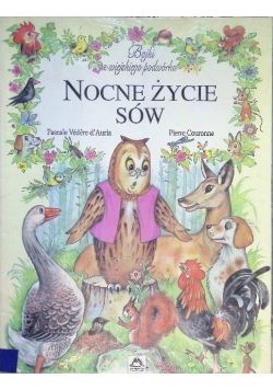 Nocne życie sów