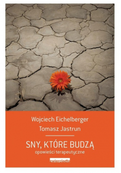 Sny które budzą Opowieści terapeutyczne