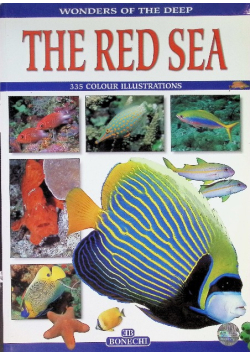 Wonders of the Deep The Red Sea
