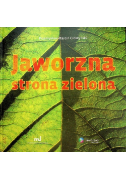 Jaworzna strona zielona