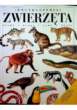 Encyklopedia zwierząt ssaki ptaki gady płazy
