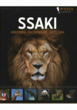 Ssaki