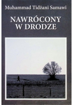 Nawrócony w drodze
