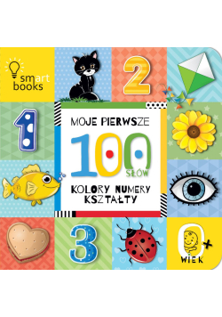 Moje pierwsze 100 słów Kolory numery kształty
