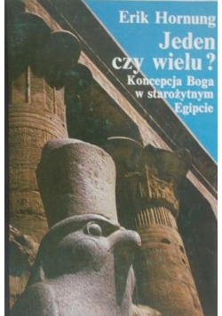 Jeden czy wielu?