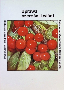 Uprawa czereśni i wiśni