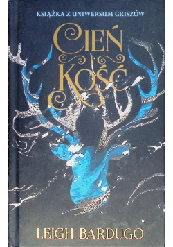 Trylogia Grisza Tom 1 Cień i kość
