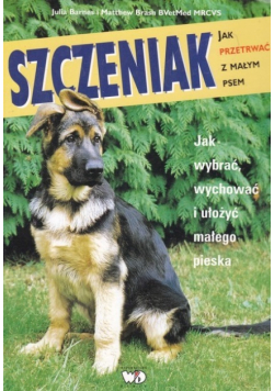 Szczeniak jak przetrwać z małym psem