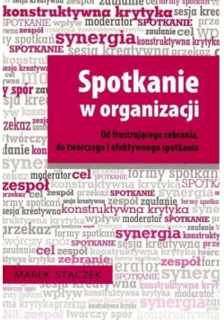 Spotkanie w organizacji