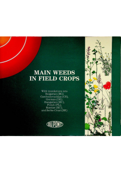 Main Weeds in field crops