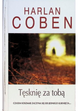 Tęsknię za tobą