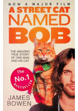 A street cat named bob
