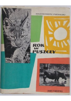 Rok w puszczy